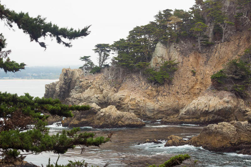 Point Lobos State Reserve, Carmel, California