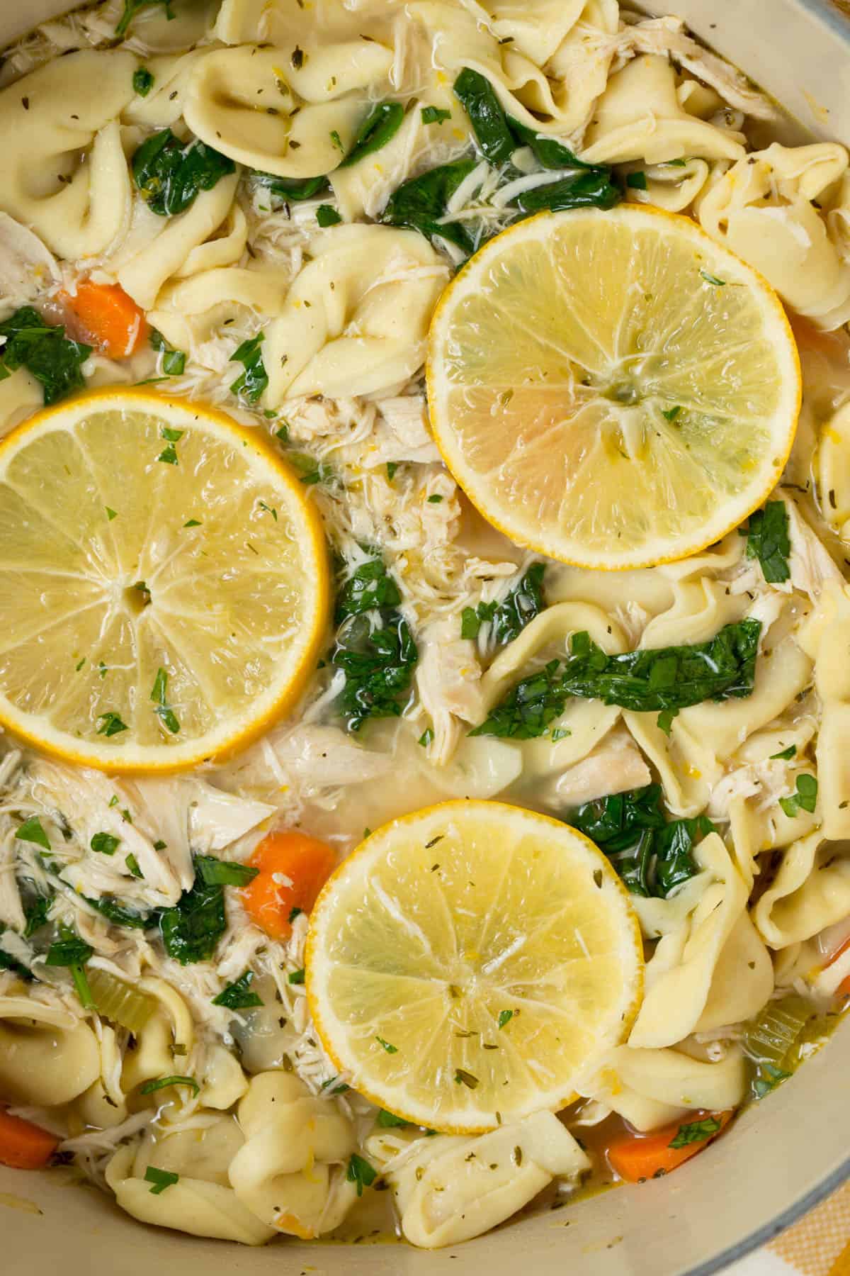 tortellini soup with lemon, chicken and spinach in a dutch oven with lemon slices on top