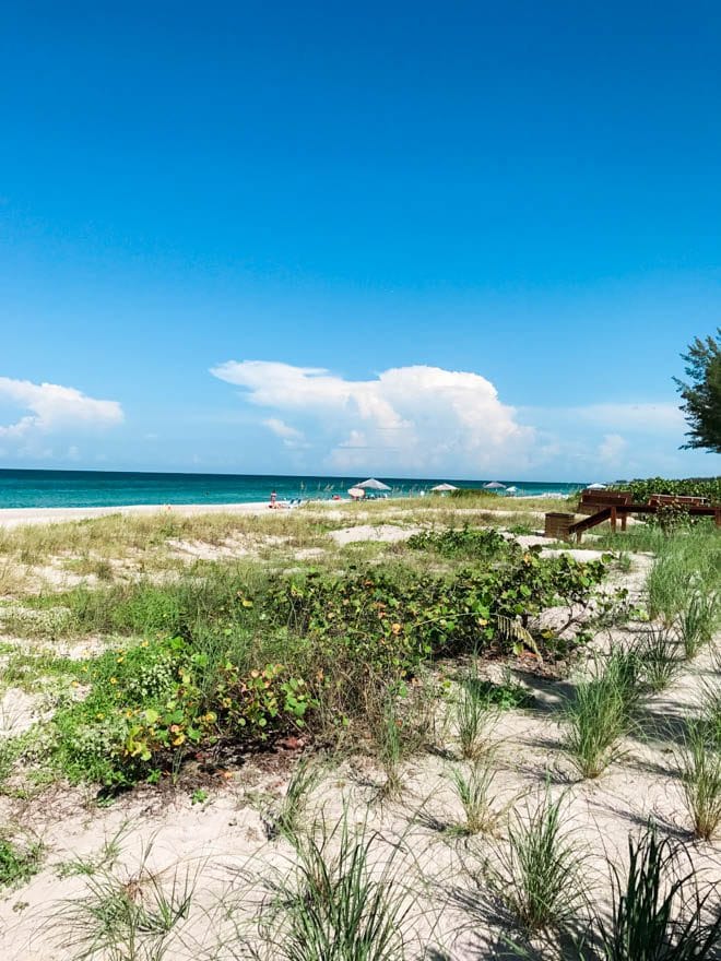 A weekend guide to Longboat Key includes the best things to eat, see and do while visiting the barrier island on Florida’s West Coast! Enjoy a stay at Zota Beach Resort, dine on delectable fare at Viento Kitchen and Bar, relax on powder soft beaches, tour Mote Marine Laboratory and Aquarium and more.