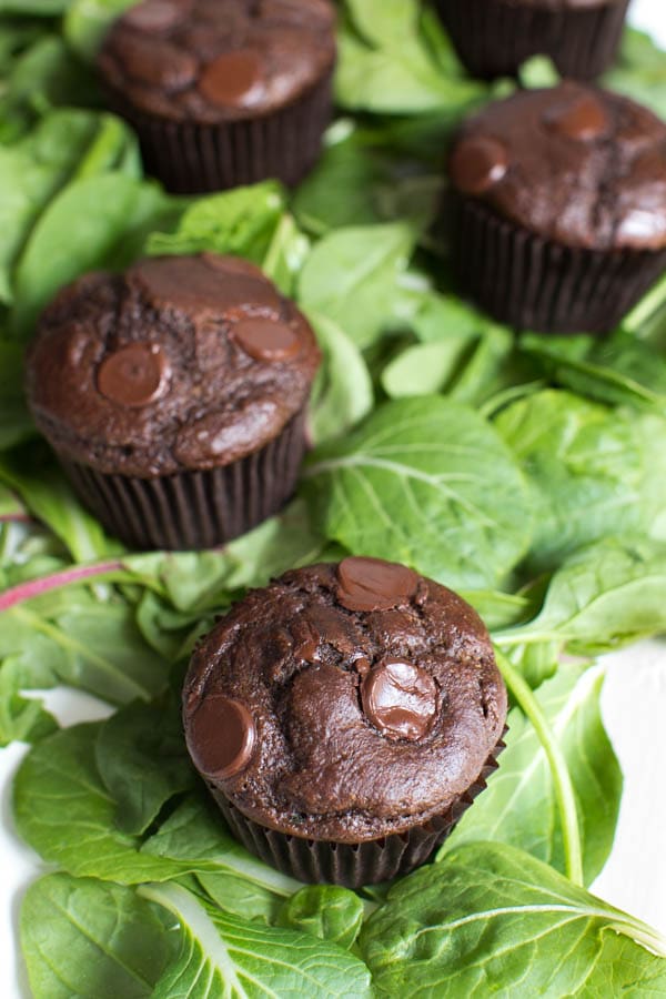 Superfood Double Chocolate Muffins are packed with leafy greens, banana, chocolate and Greek yogurt! You will never know that two heaping cups of greens are hidden in these chocolate muffins. 
