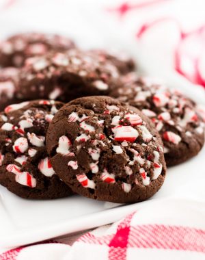 smashmallow peppermint chocolate chip