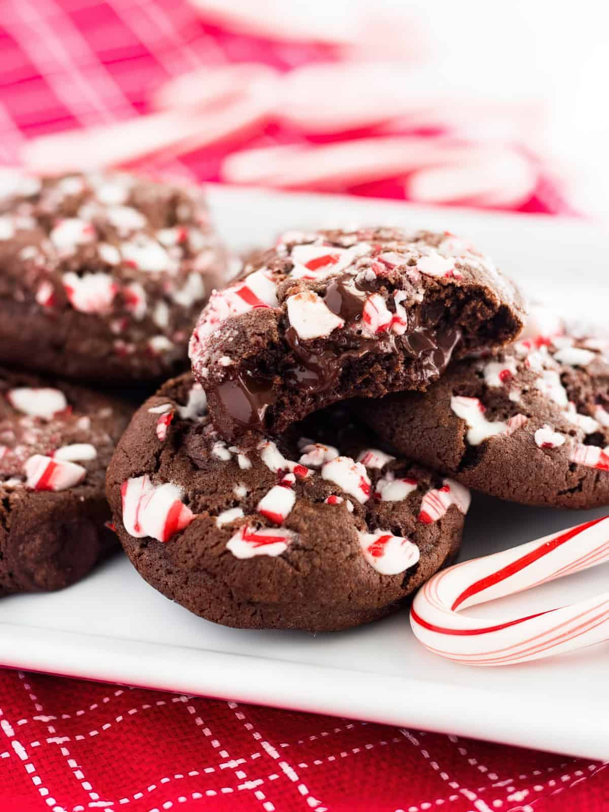 Chocolate peppermint cookies topped with crushed candy cane pieces.