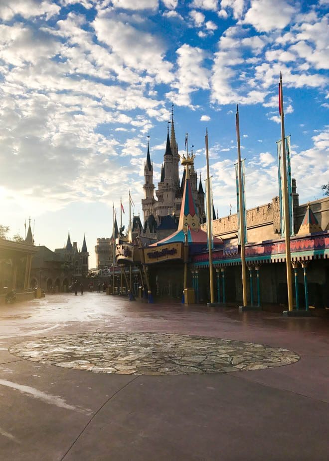 Walt Disney World's Magic Kingdom offers endless opportunities to experience Disney magic. This guide provides five Extra Magical Experiences at Disney's Magic Kingdom including a dessert party, early morning magic and more!