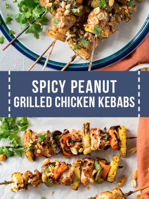 Collage of grilled chicken kebab photos