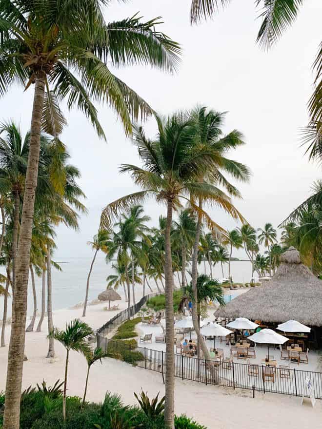 Palm trees and beach view at Amara Cay Resort