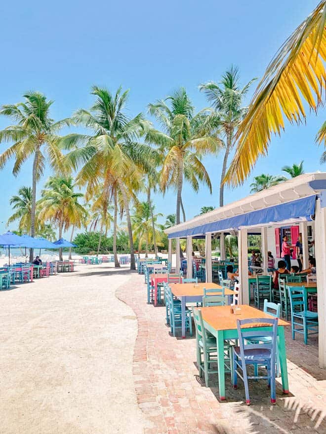 Morada Bay Cafe on the beach with palm trees