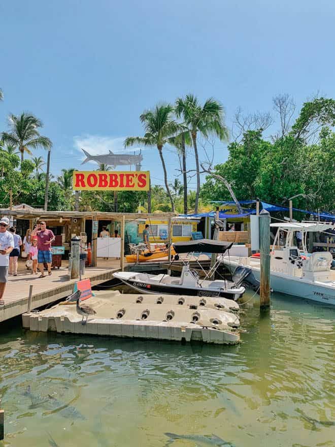 View from the dock overlooking robbie's marina.