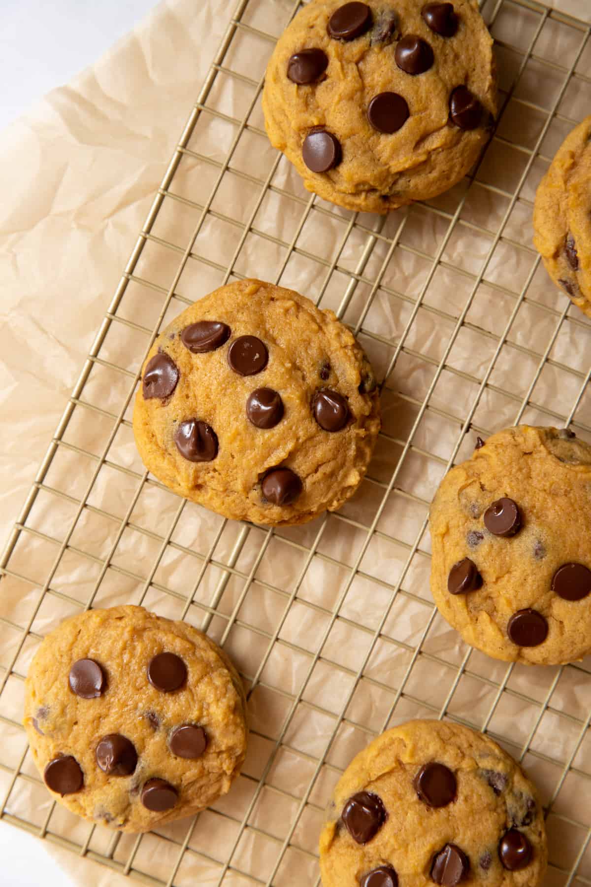 a baking rack with six easy pumpkin chocolate chip cookies