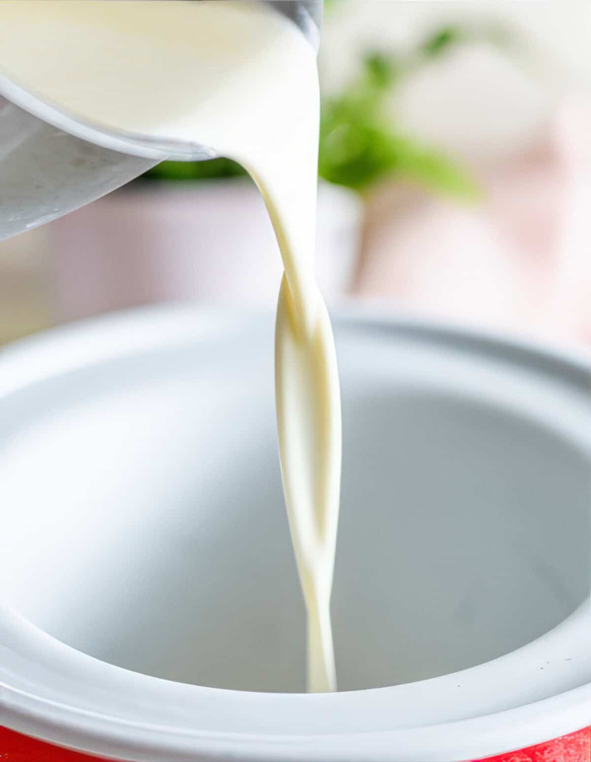 Chilled vanilla ice cream base being poured into an ice cream maker before churning.