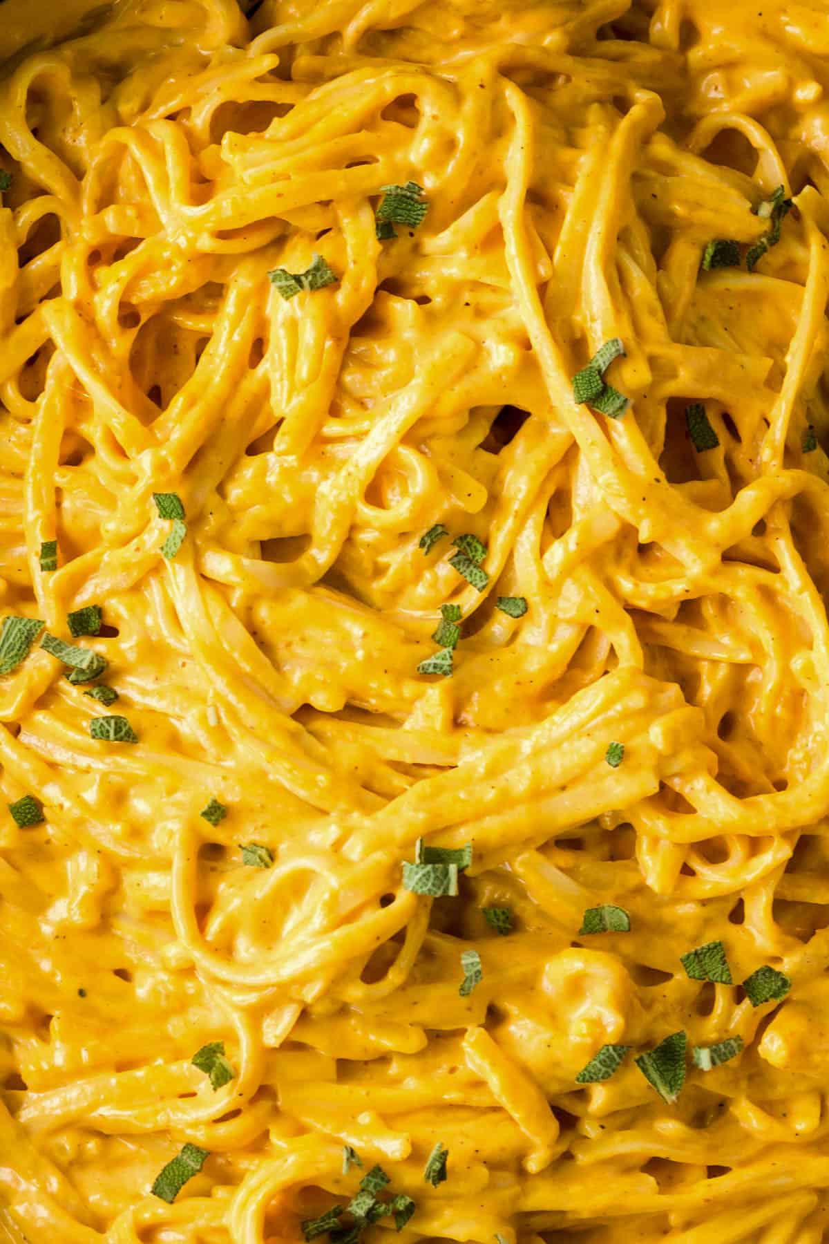 Close up photo of creamy pumpkin pasta in a pan with chopped fresh sage on top.