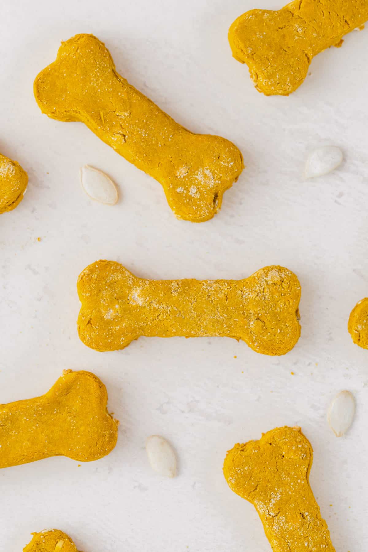 peanut butter pumpkin dog treats scattered on a white table
