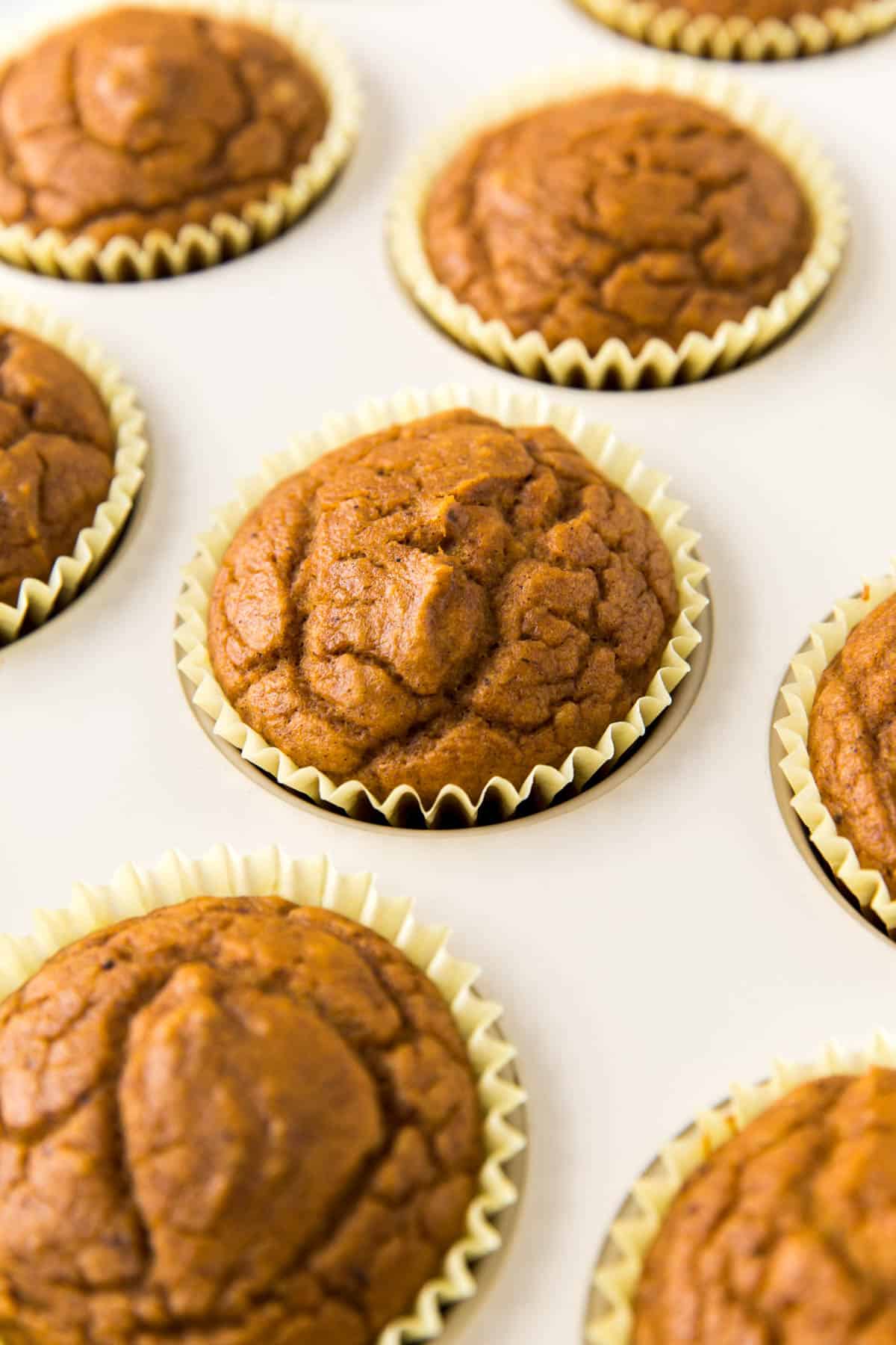 close up photo of baked vegan pumpkin muffins in the muffin pan