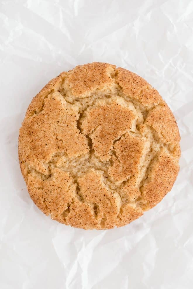 one close up photo of snickerdoodle cookie
