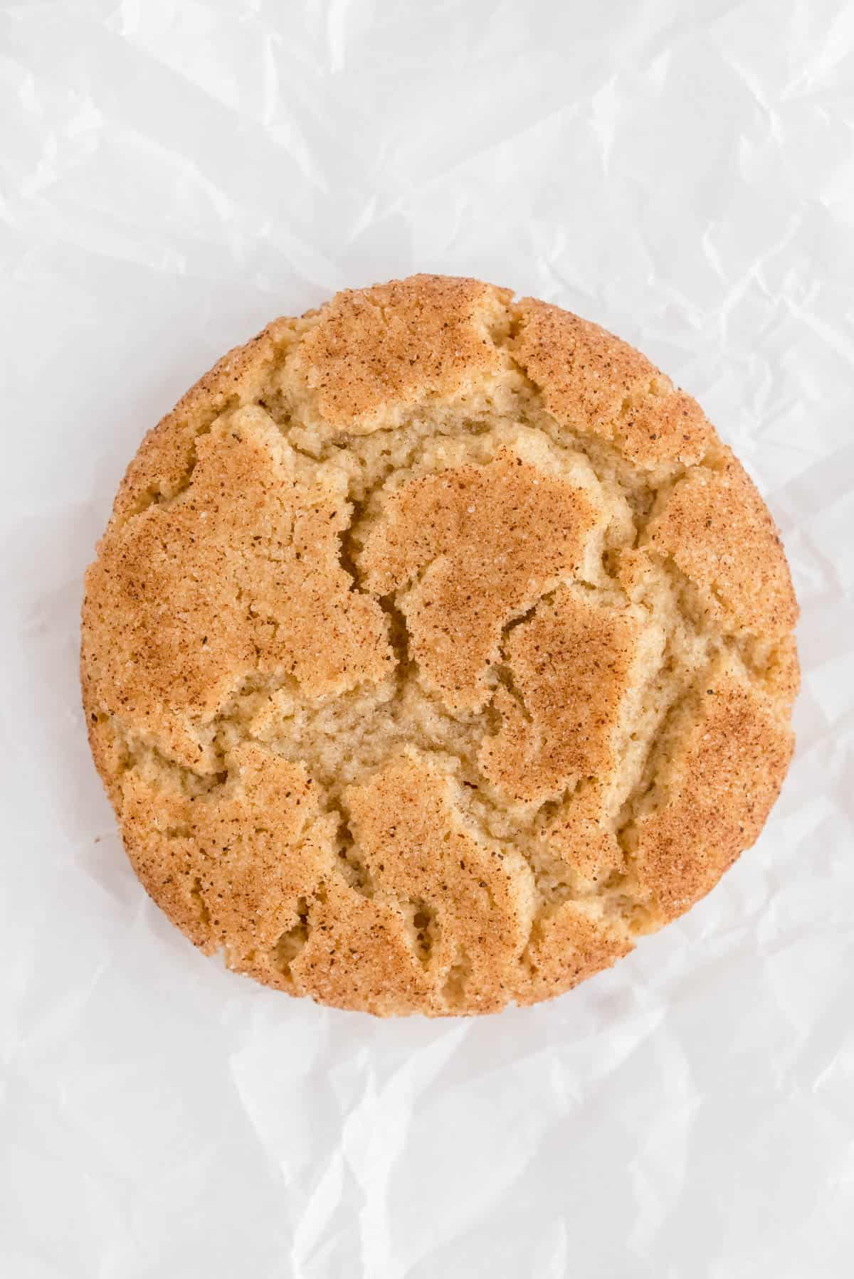 one close up photo of snickerdoodle cookie