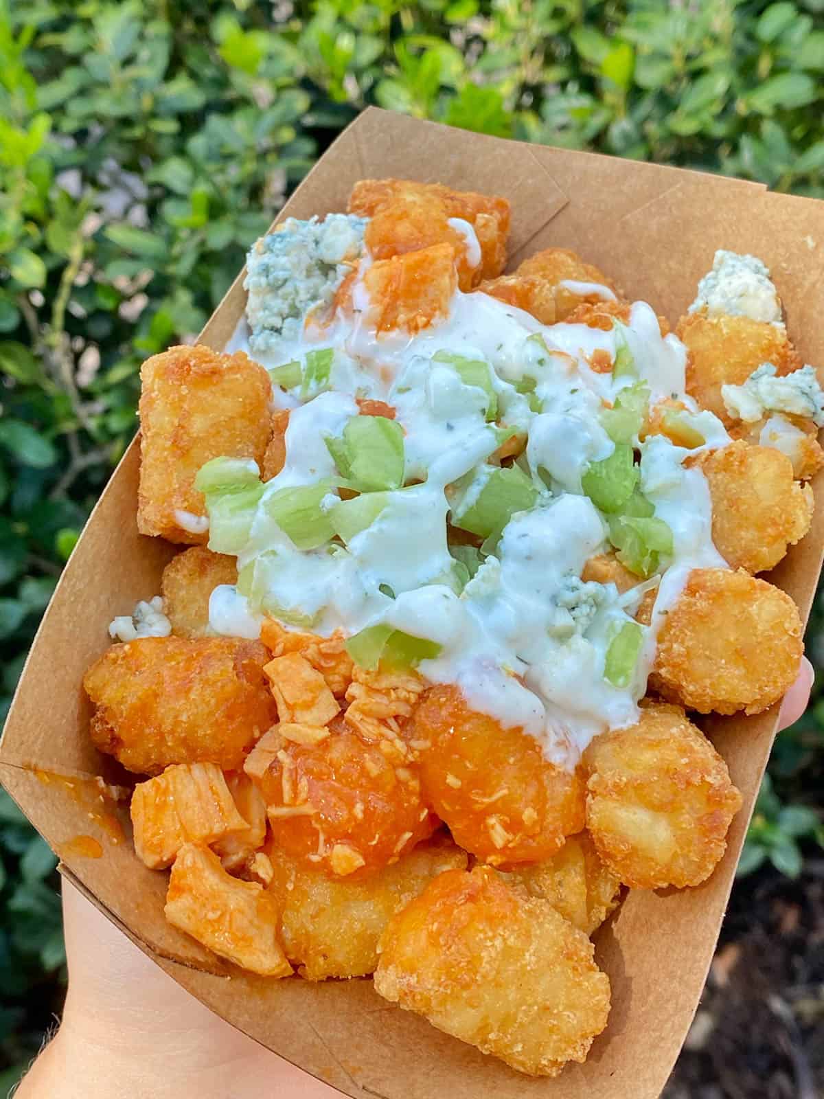 a container of buffalo chicken tots with blue cheese dressing on the top