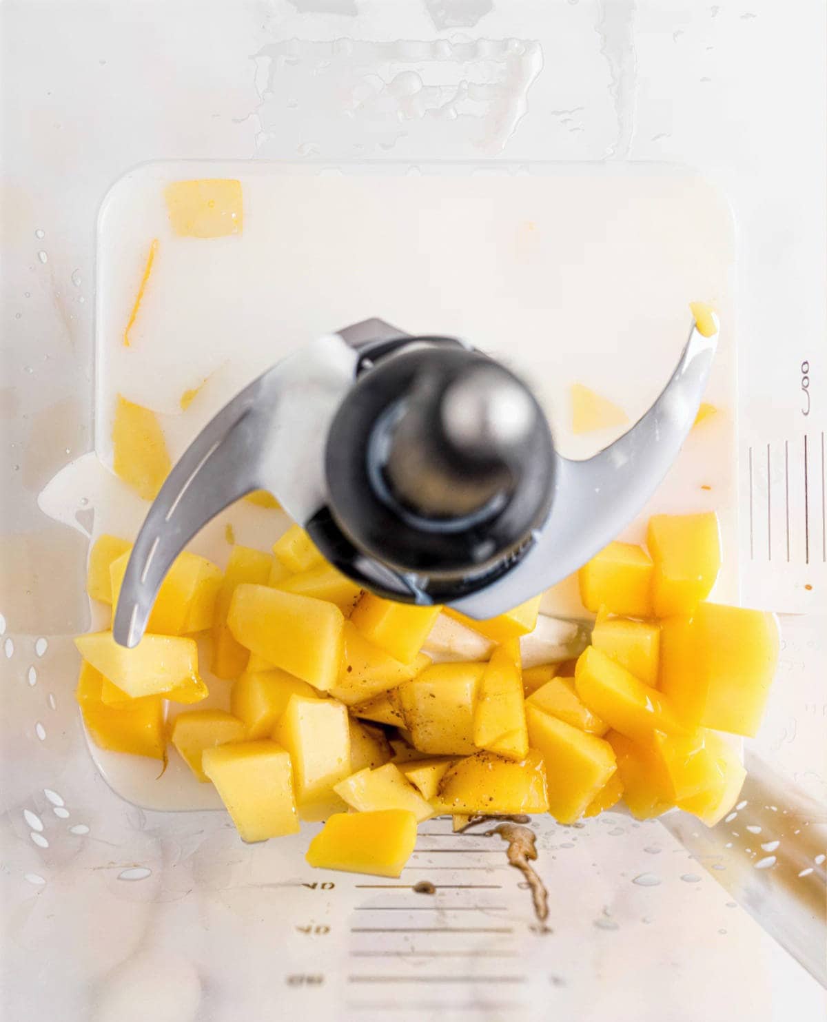 blender with diced mango yogurt milk and honey for mango popsicles