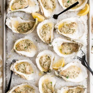 baked oysters in the shell on rock salt for serving
