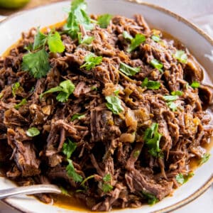 cooked shredded beef in a bowl for serving