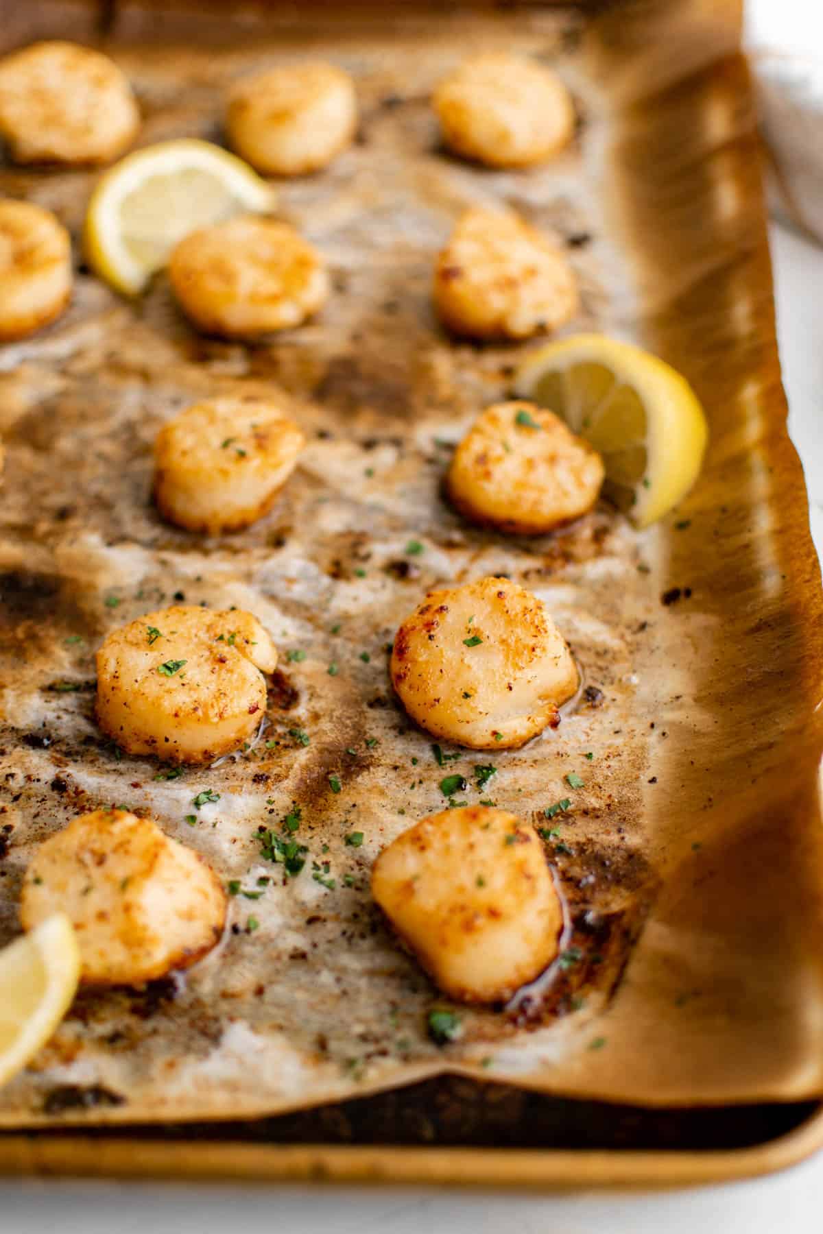 Broiled scallops on a sheet pan before serving.