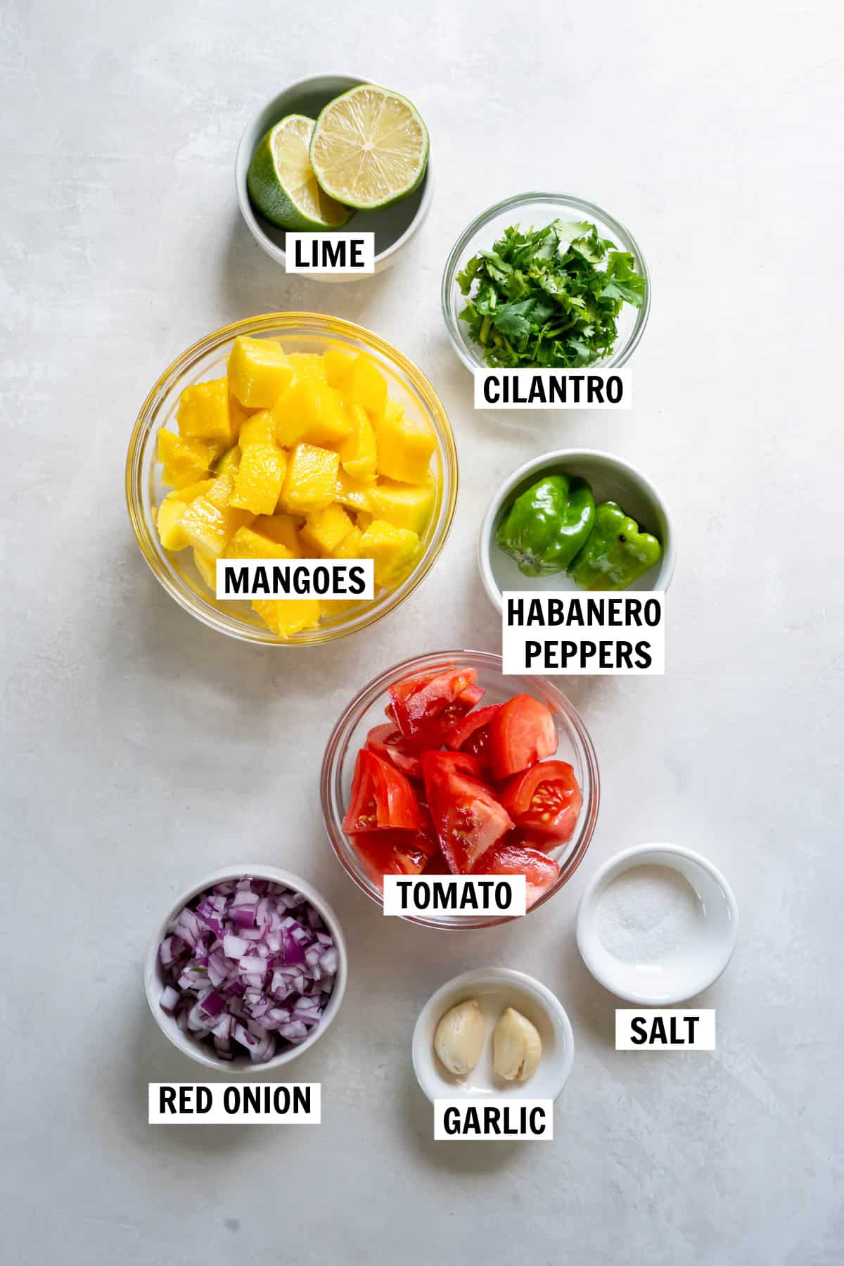 All of the ingredients for mango habanero salsa in clear bowls on a white countertop including chopped mangoes, tomato, habanero peppers, lime, red onion, garlic, cilantro and salt.