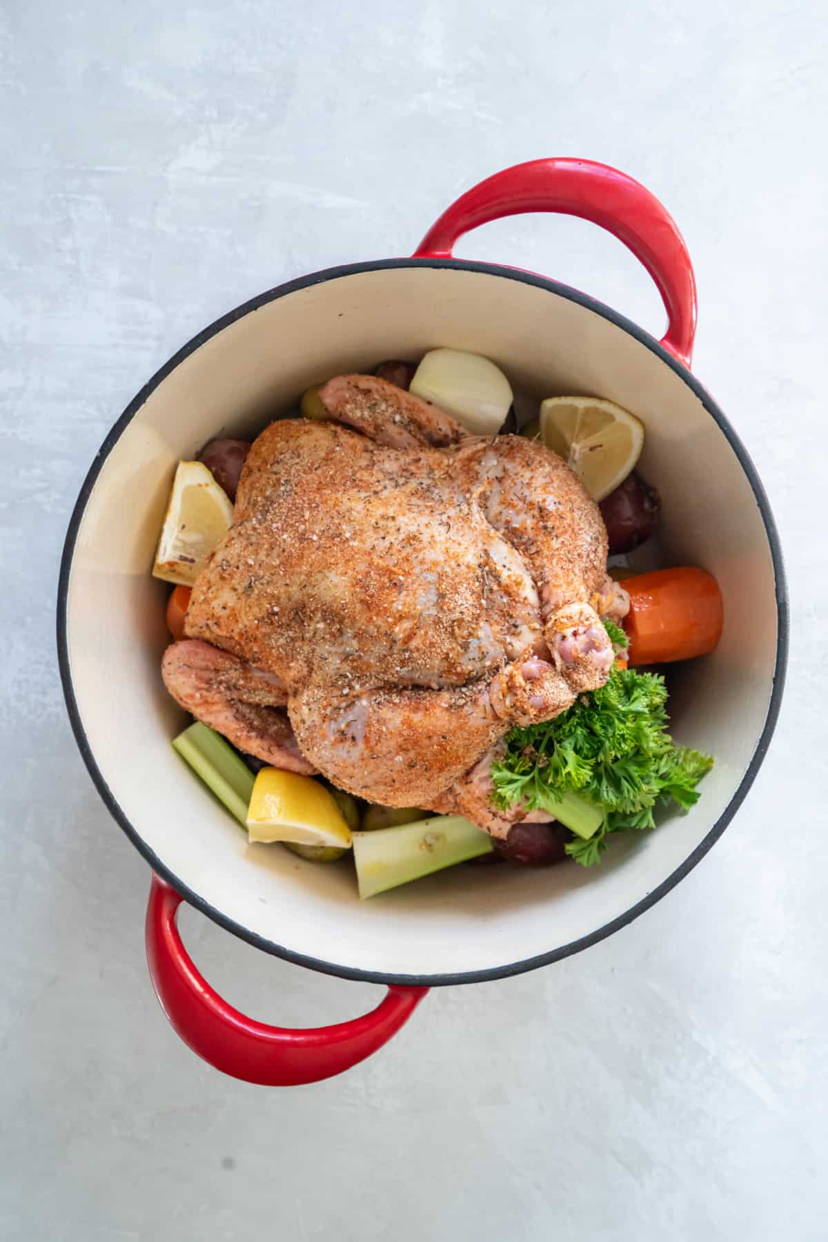 The prepared whole chicken with spices in the Dutch oven with any remaining celery, carrots and lemon. 