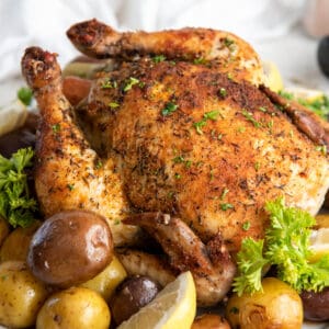Dutch oven whole chicken on a white plate with roasted potatoes. The plate is ready for serving.