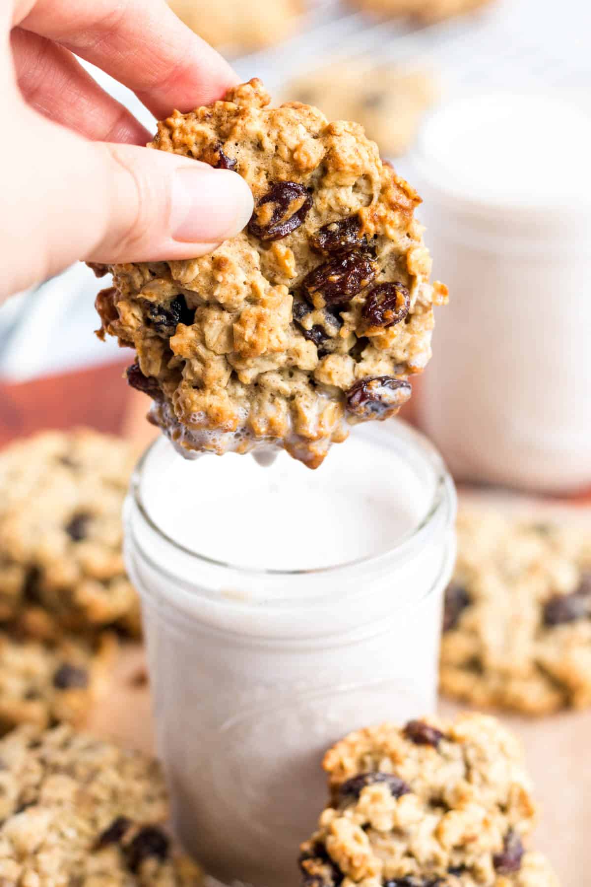 An oatmeal raisin cookie being dipped into a glass of milk.