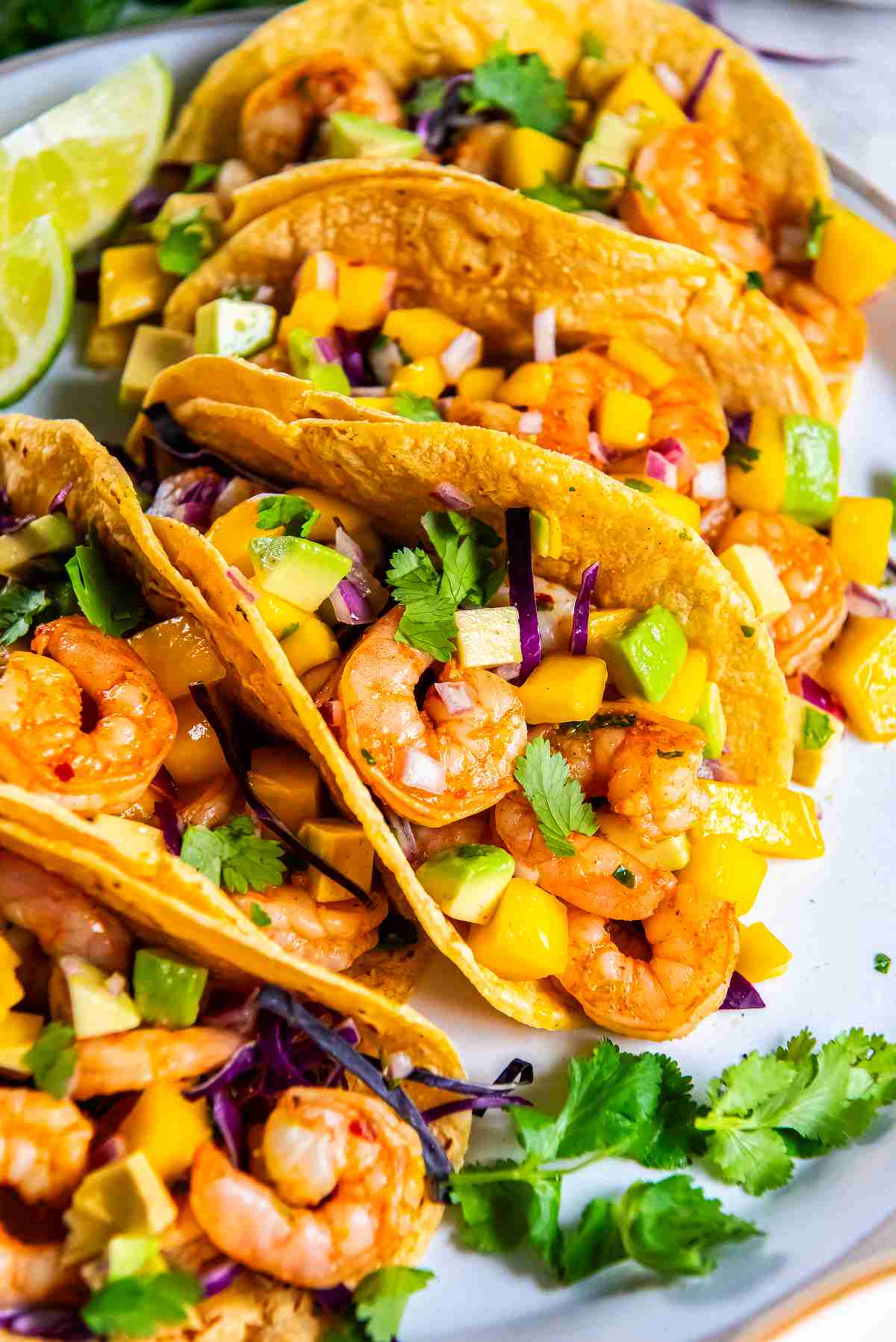 Close up of shrimp tacos with mango avocado salsa, red onion, and fresh cilantro
