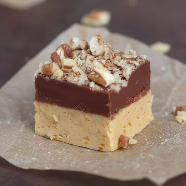 Close-up of a piece of chocolate pumpkin fudge with chopped pecans on top.