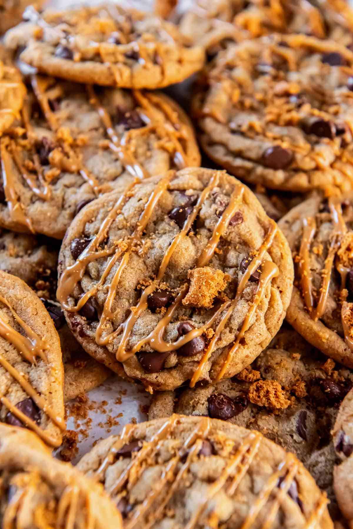 tray of warm chocolate chip cookie butter cookies cooling on parchment paper.