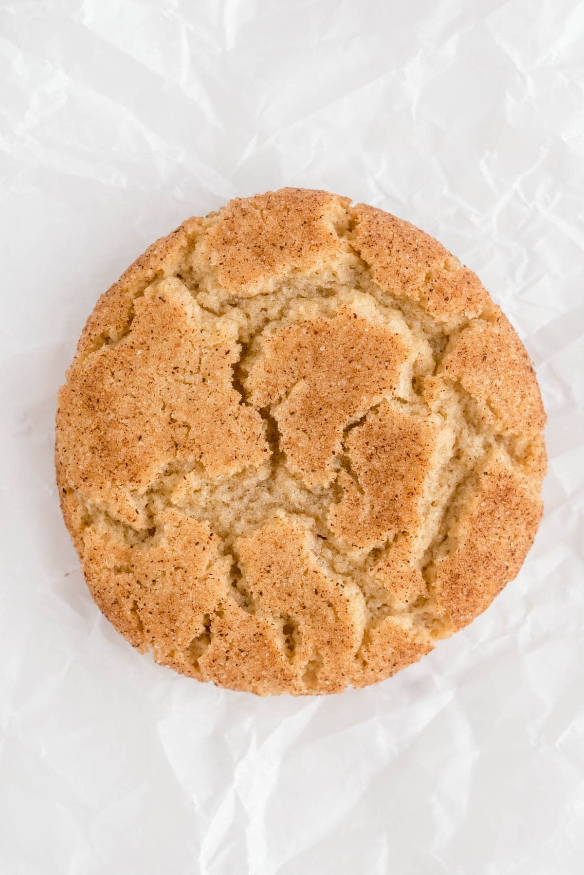 Brown butter snickerdoodle cookie with crackly top and cinnamon sugar coating