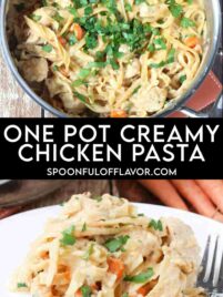 One Pot Creamy Chicken Pasta featuring creamy fettuccine noodles with chicken, carrots, celery, and parsley in a skillet and plated serving.